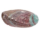 ARTSEWPLY Abalone Muschel Räuchergefäß Raues Naturdekor Brennbehälter...