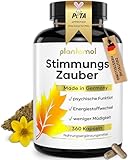360 Johanniskraut Kapseln hochdosiert - 1000mg Johanniskraut-Extrakt mit...