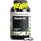 natural elements Vitamin B5 – 240 Kapseln - hochdosierte 500 mg...