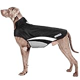 Buddypuppy Hundemantel Winter, Regenmantel Hund Wasserdicht, Fleece...