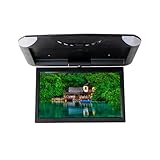 10,1 Zoll Auto TFT LCD LED Dachmontage Flip Down Deckendisplay 2...