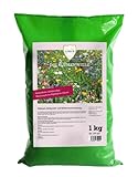 Linsor Blumenwiese 1 kg für 100m², Saatgut für eine bunte, einheimische...