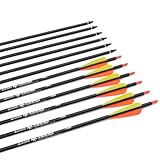 Pfeile 28 30 31 Zoll Carbonpfeile Bogenpfeile Jagdpfeile für Recurvebogen,...