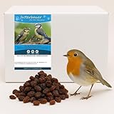 Futterbauer Futterrosinen 10 kg, Energiereiche Rosinen für Wildvögel,...