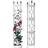 Thealyn Rankgitter Garten 2 Pack 182cm H x 31cm B Metall Pflanzen...