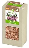 FLORTUS BIO Keimsprossen Radies (200 g) | Gesunde & leckere Keimsprossen |...