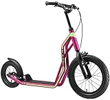 STAR SCOOTER Kinder Tret Roller ab 7-8 Jahre | 16/12 Zoll Mixed City Kick...