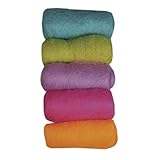 Rayher Hobby 53657000 Reine Schurwolle, Vlies, 5 Farben à 20 g, Sommermix,...