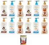 Spuma di sciampagna Testpaket Sapone Crema Mandorla,Marsiglia,Argan &...