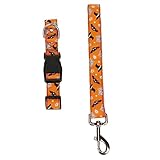 FUTUREORYY 2 Stück Halloween Hundehalsband und Leine Verstellbar aus Nylon...