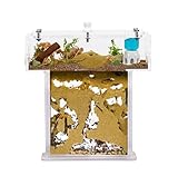 Acryl Ameisenfarm Set mit Sand in Mini T-Form - 14x5x14 cm Sandwich und...