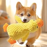 Hundespielzeug aus Plüsch für kleine Hunde, quietschendes Hundespielzeug,...