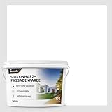 derendo Premium Silikonharz Fassadenfarbe Wetterschutz Abperleffekt wie...