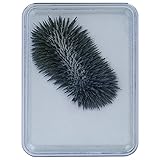 EDUPLAY 120107 Eisenpulver-Box, 3 Jahre -99 Jahre