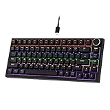Newmen GM326 Mechanische Tastatur mit Kabel,Gaming Tastatur 75% Prozent,TKL...