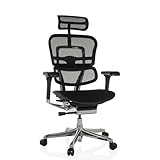 hjh OFFICE Bürostuhl ergonomisch ERGOHUMAN GEN 2 Originales Design, 24h...