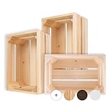 Creative Deco Kleine Holzkiste Natur | Kiste Holz | 30 x 20 x 15 cm |...