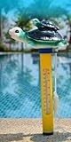 Cerioll Schwimmendes Thermometer (Schildkröte)