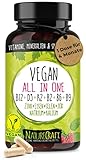 Vegan All-in-One - Vitamin B12+D3+K2+B2+B6+B9 Folsäure + Zink + Eisen +...