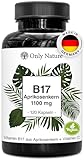 Vitamin B17 aus Aprikosenkernen 1100 mg – 120 vegane Kapseln mit Vitamin...