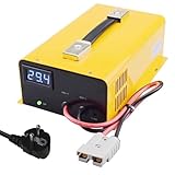 ZTZBFGM 29.2v 30a,Alligator Clips,LiFePO4-Ladegerät 3S-16S 14,6 V 12,6 V...