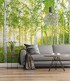 Komar Vlies Fototapete SUNDAY | 300 x 250 cm | Tapete, Wand Dekoration,...