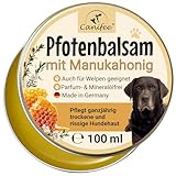 Canifee - Pfotenbalsam für Hunde mit Manukahonig 100ml Dose parfumfrei...