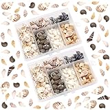 ZOCONE Muscheln Deko 372 PCS Spiral Muscheln Echt Kleine Natürliche...