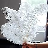Ovanda 10 Stück 15-20 cm Weiße Straußenfedern, Natürliche...