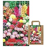 Sommerblumen Dahlien Knollen Blumenzwiebeln Mix Dahlia Bunte Auswahl im Mix...