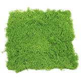 NUSITOU Künstliches Moospad aus Epe Schaumstoff für Bonsai und Aquarium...