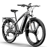 Speedy E Bike Mountainbike 29 Zoll | Ebike 672 Wh Akku Fahrrad Elektro MTB...