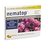 nematop® HB Nematoden zur Bekämpfung des Dickmaulrüsslers - 50 Mio. für...