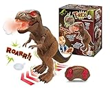 BUKI 37293 - Ferngesteuerter T-Rex