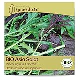Samenliebe BIO Asia Salat Samen Mischung aus 4 Sorten 1g samenfestes...