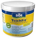 Söll 81792 TeichFit Grundpflegemittel für den Teich 500 g - ganzjährig...