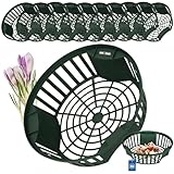 KOTARBAU® 10er Set Pflanzkörbe für Blumenzwiebeln Zwiebel-Pflanzkorb...