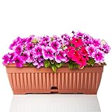 BigDean Blumenkasten mit abnehmbarem Untersetzer - Terracotta 50 cm lang...