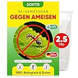 SONTIS - Aktive SF-Nematoden gegen Ameisen – 2,5 Mio für 5qm -...