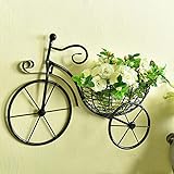 MSLing Blumenkorb für Fahrrad, Wandmontage, Blumenständer aus...