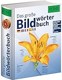 PONS Das Große Bildwörterbuch: 200.000 Begriffe in 5 Sprachen - Deutsch,...