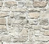 A.S. Création Elements Vliestapete mit Steinmotiv Naturstein 0,53 x 10,05...