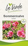 Sommermalve Vulcan pink Blumensamen