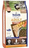bosch HPC Adult mit frischem Lachs & Kartoffel | Hundetrockenfutter für...
