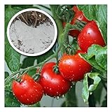 25 kg Bio Tomatendünger Dünger Tomaten Paprika Gemüse Gemüsedünger...