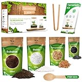 Flaschengarten Komplettset zum Schaffen EIN Ökosystem im Glas - Terrarium...