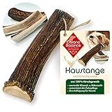 ChronoBalance® Geweih Kaustange M (halbiert) für Hunde, 100% Hirschgeweih...