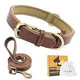 Furry Friends Hundehalsband Leder mit Leine, Gepolstert lederhalsband und...