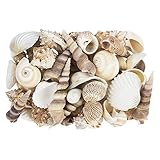 Ideen mit Herz Potpourri | Muscheln | 450 g | Natur | Verschiedene...