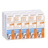 NASENSPRAY ratiopharm, für Sinusitis Erwachsene 10 Packungen - Sparset...